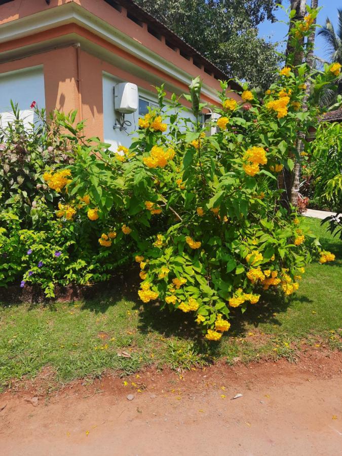 Villa Sunflower กาเวลอสซิม ภายนอก รูปภาพ