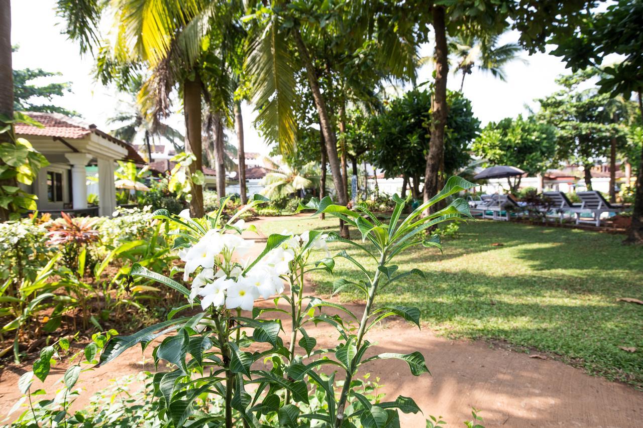 Villa Sunflower กาเวลอสซิม ภายนอก รูปภาพ