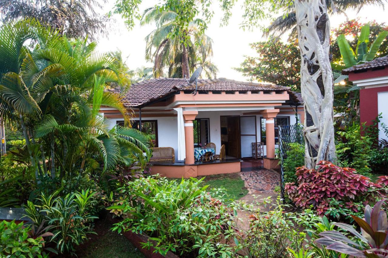 Villa Sunflower กาเวลอสซิม ภายนอก รูปภาพ