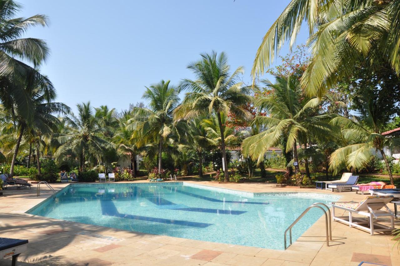 Villa Sunflower กาเวลอสซิม ภายนอก รูปภาพ
