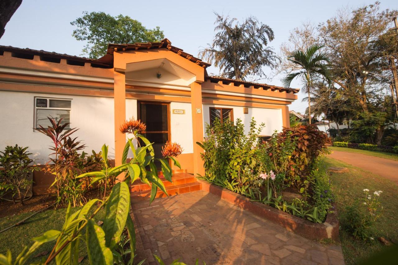 Villa Sunflower กาเวลอสซิม ภายนอก รูปภาพ